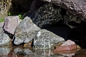 33_Riflessi all'ombra